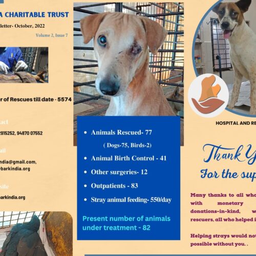 Animal rescue charity India