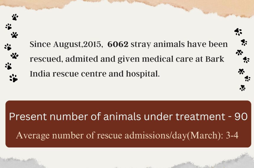 2 Help Animals in India- 6000+ Rescues