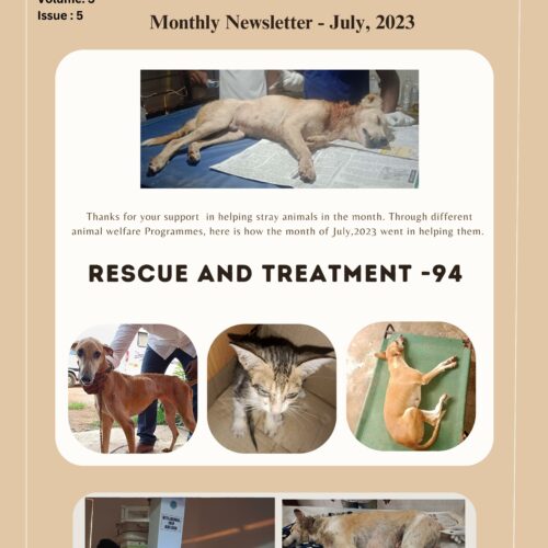 Animal rescue and treatment
