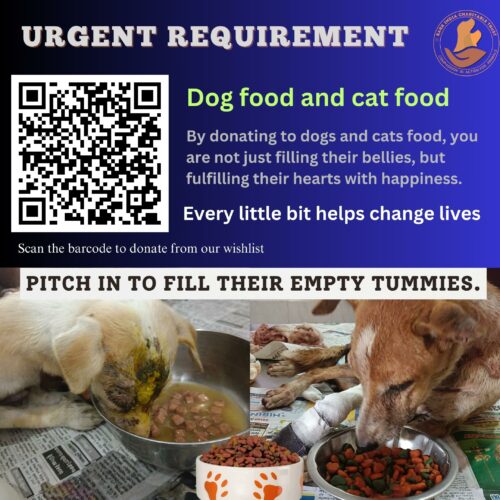 donate dog and cat food donate food for stray animals