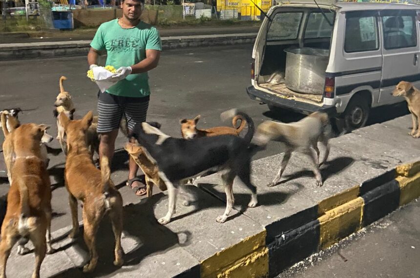 Animal welfare and Rescue- Help stray animals