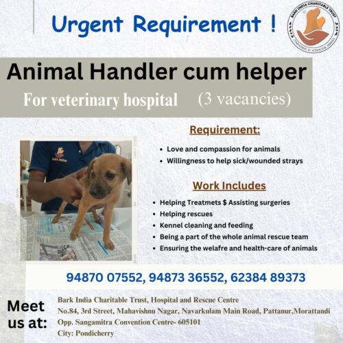 Staff wanted for animal rescue Organization- Pondicherry