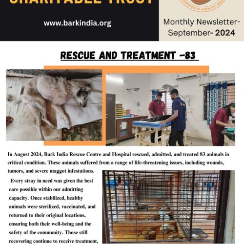 Sick animal rescue and treatment Animal welfare- September, 2024