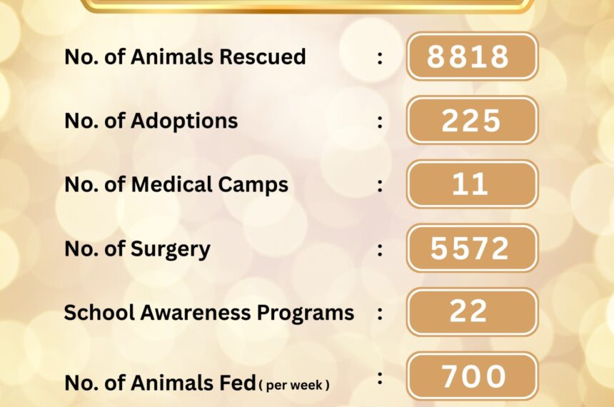 WhatsApp Image 2025-08-18 at 09.59.35_931602b2 10 YEARS OF SERVING STRAYS- DONATE TO SUPPORT