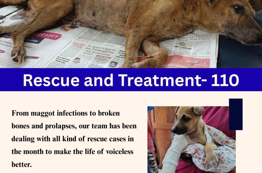 Orange and White Minimalist Company Newsletter December 2025: A Month of Hope, Healing & Humanity